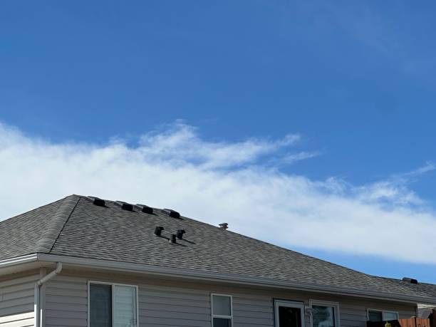 Best Roof Maintenance and Cleaning  in Medford, WI